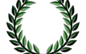 Open /2 Division de Ligue