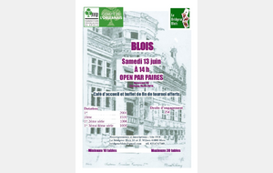 Tournoi de Blois samedi 13 juin