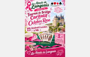 Langeais: un tournoi placé sous le signe de la solidarité