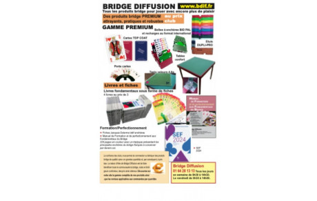 BRIDGE DIFFUSION