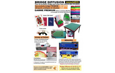 BRIDGE DIFFUSION